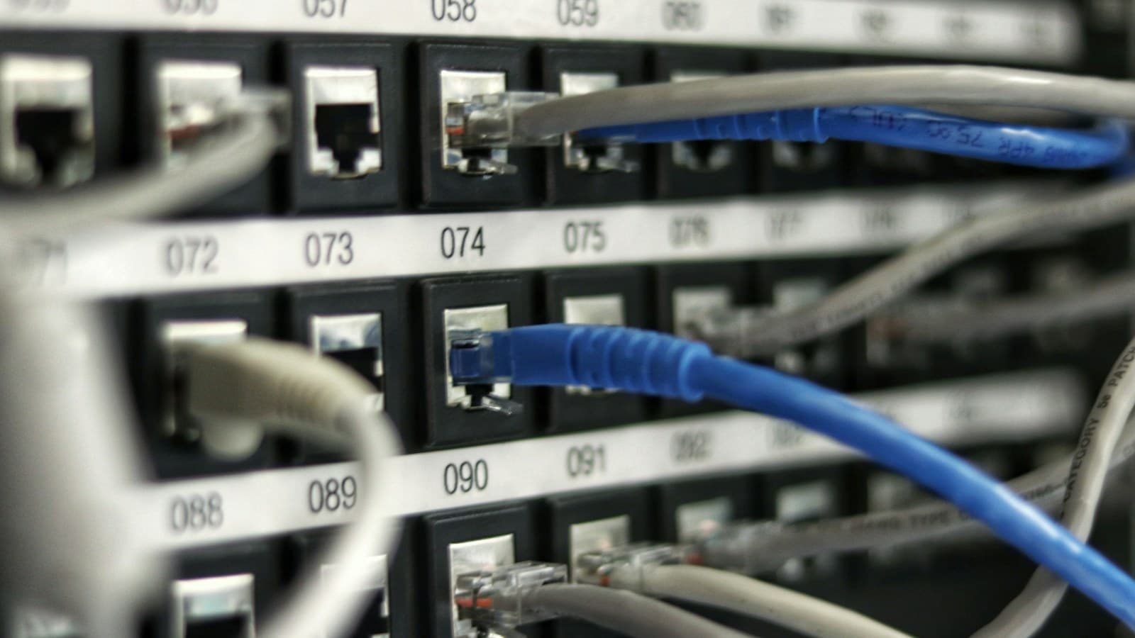 Modré ethernetové káble pripojené k sieťovému zariadeniu